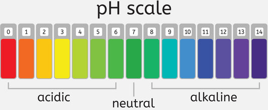 Is Raw honey acidic or alkaline?